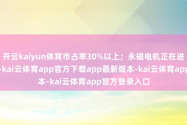 开云kaiyun体育市占率30%以上；永磁电机正在进行互异化布局-kai云体育app官方下载app最新版本-kai云体育app官方登录入口