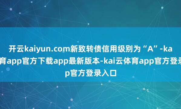 开云kaiyun.com新致转债信用级别为“A”-kai云体育app官方下载app最新版本-kai云体育app官方登录入口